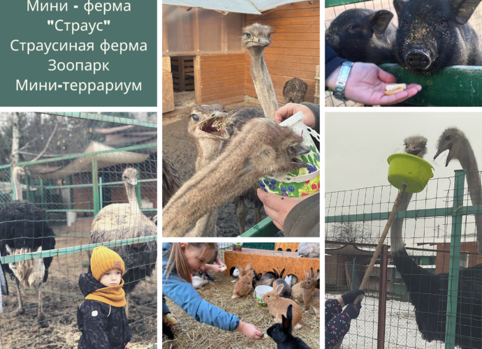 Старусиная ферма зоопарк террариум