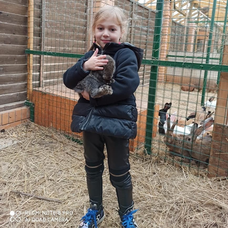 контактный зоопарк кролики