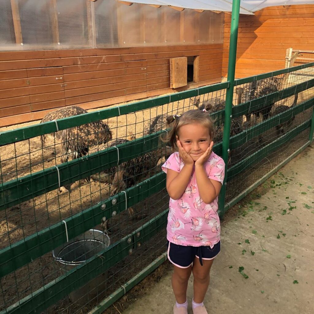 кормление страусов зоопарк