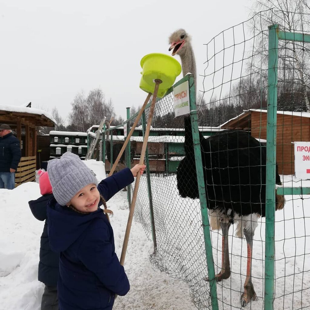 страусиная ферма Москва