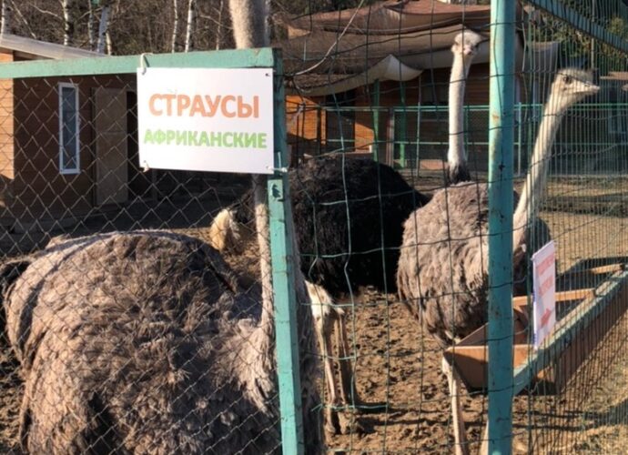 организация мероприятий