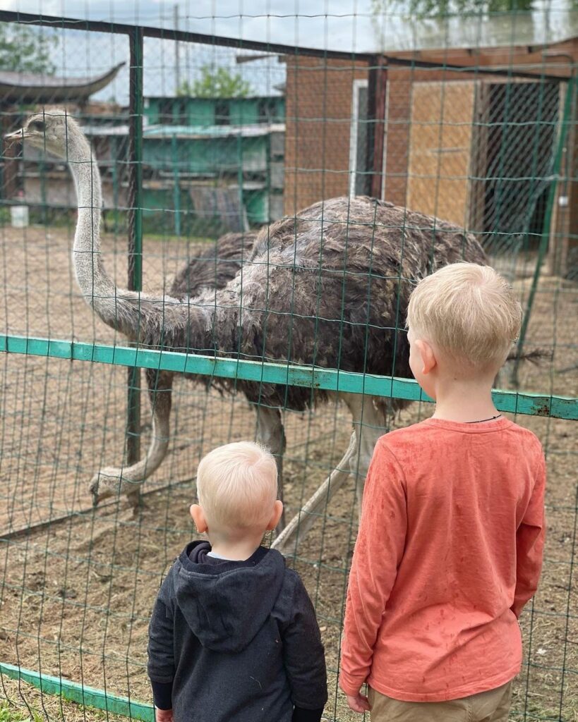 страусы в Москве