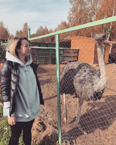 Страусы